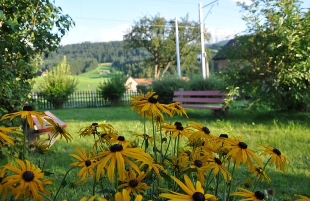 8 Garten.jpg